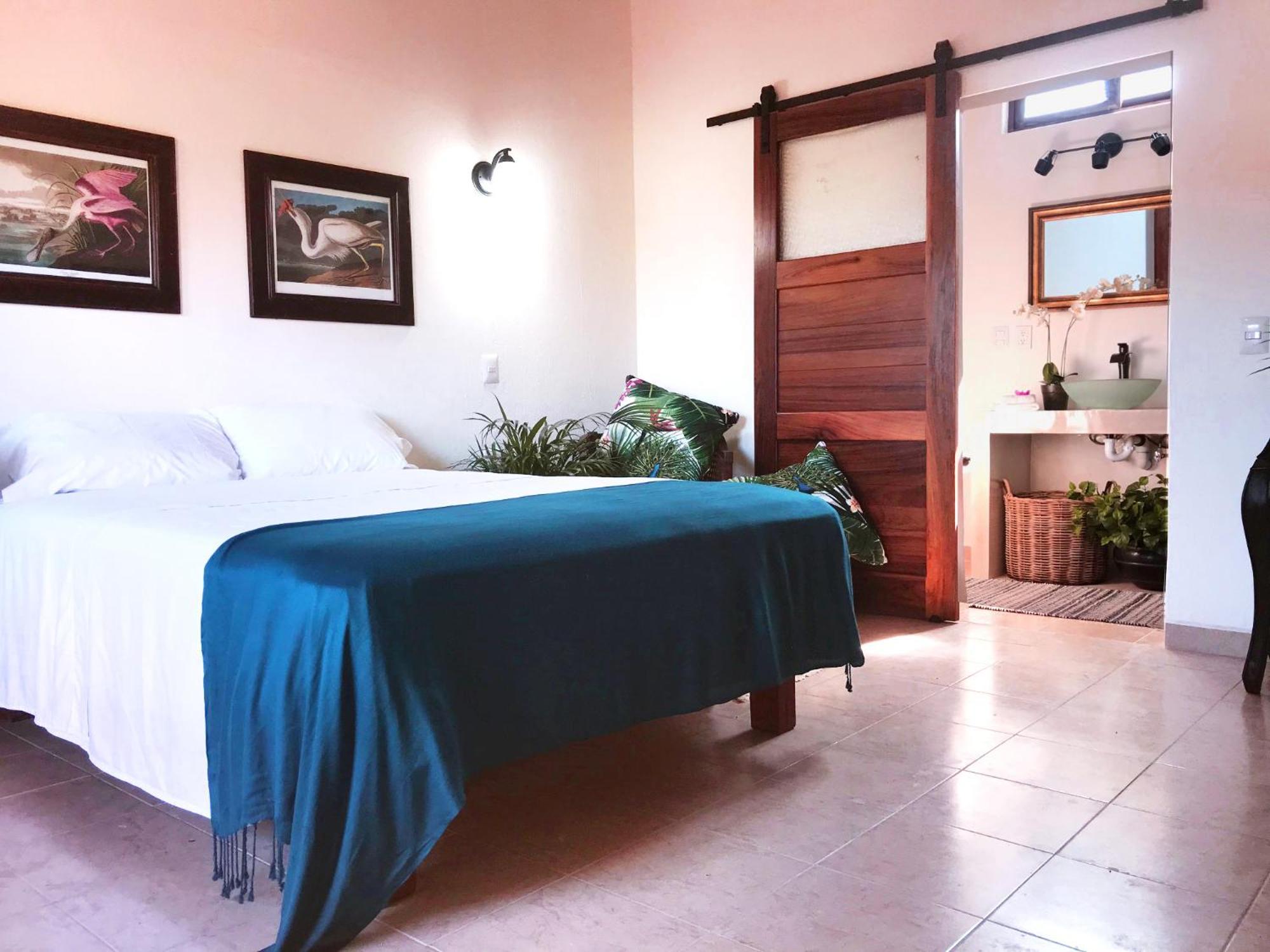 Casa Botanica Otel Lo de Marcos Dış mekan fotoğraf