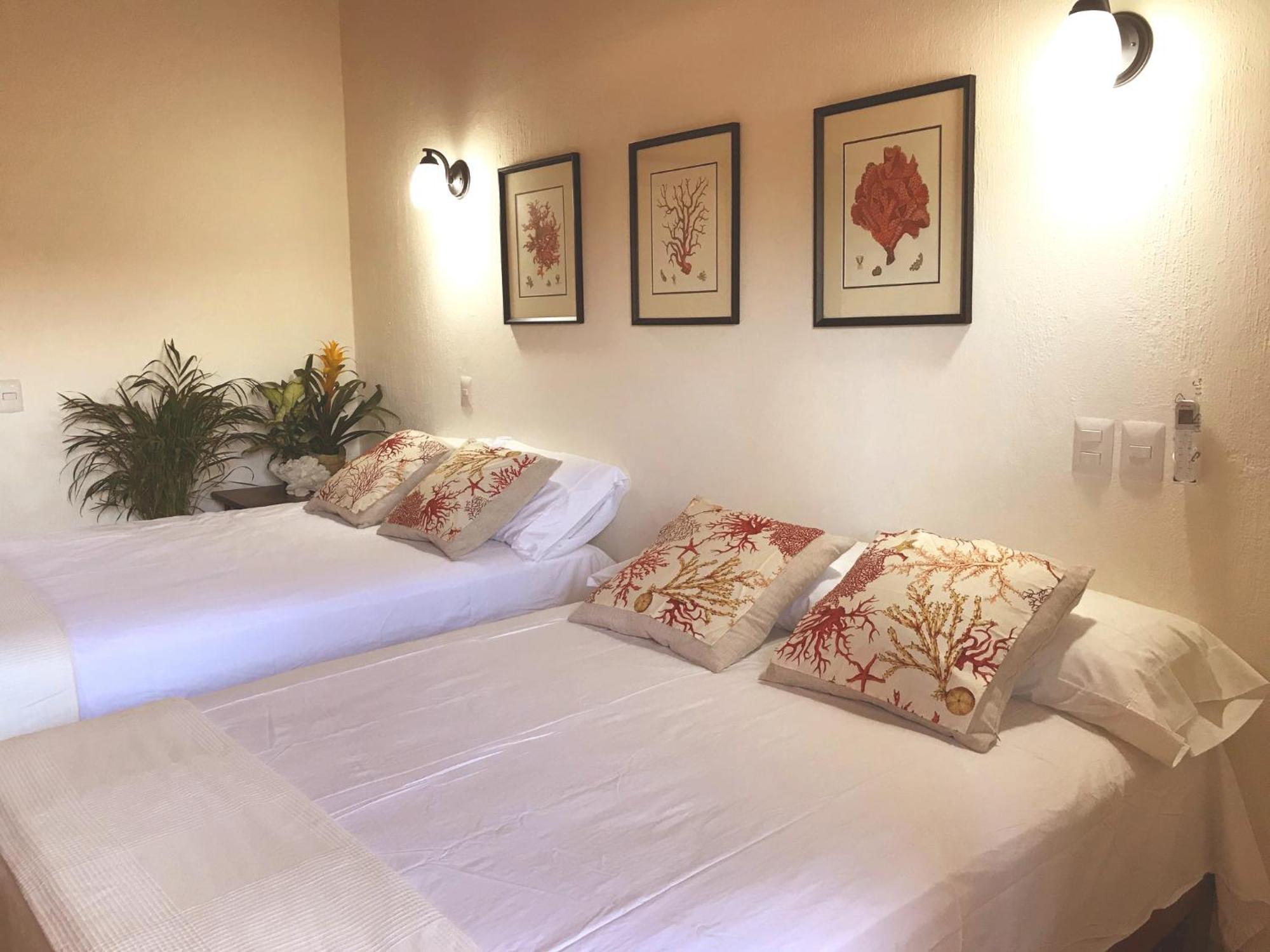 Casa Botanica Otel Lo de Marcos Dış mekan fotoğraf