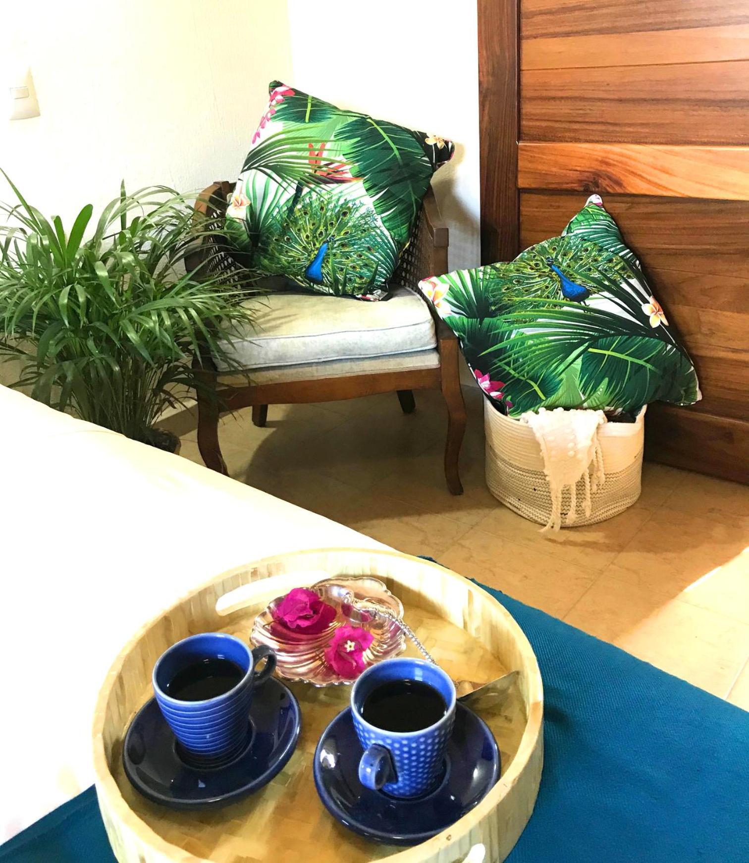 Casa Botanica Otel Lo de Marcos Dış mekan fotoğraf