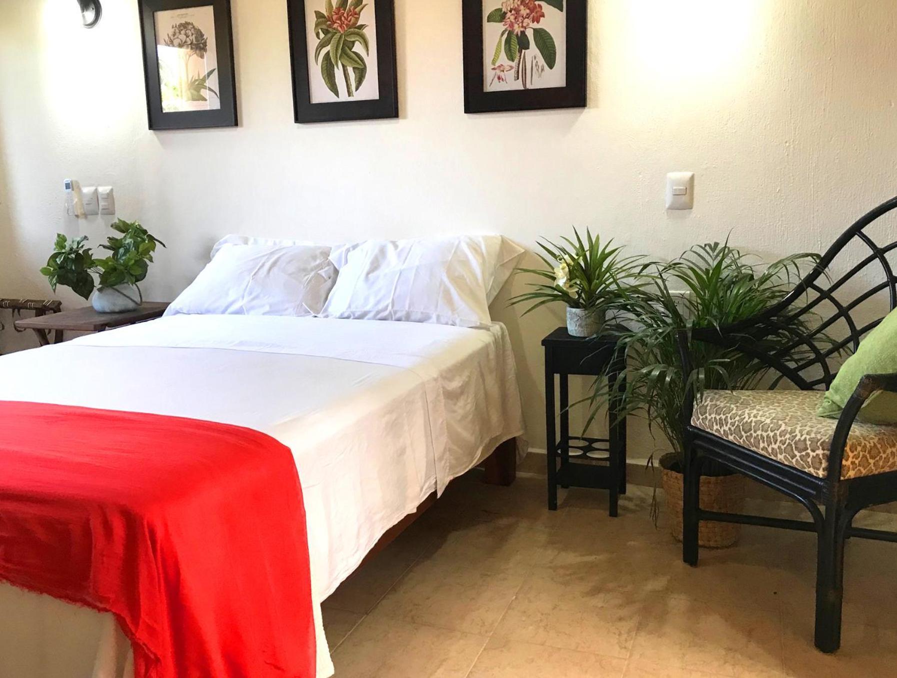 Casa Botanica Otel Lo de Marcos Dış mekan fotoğraf