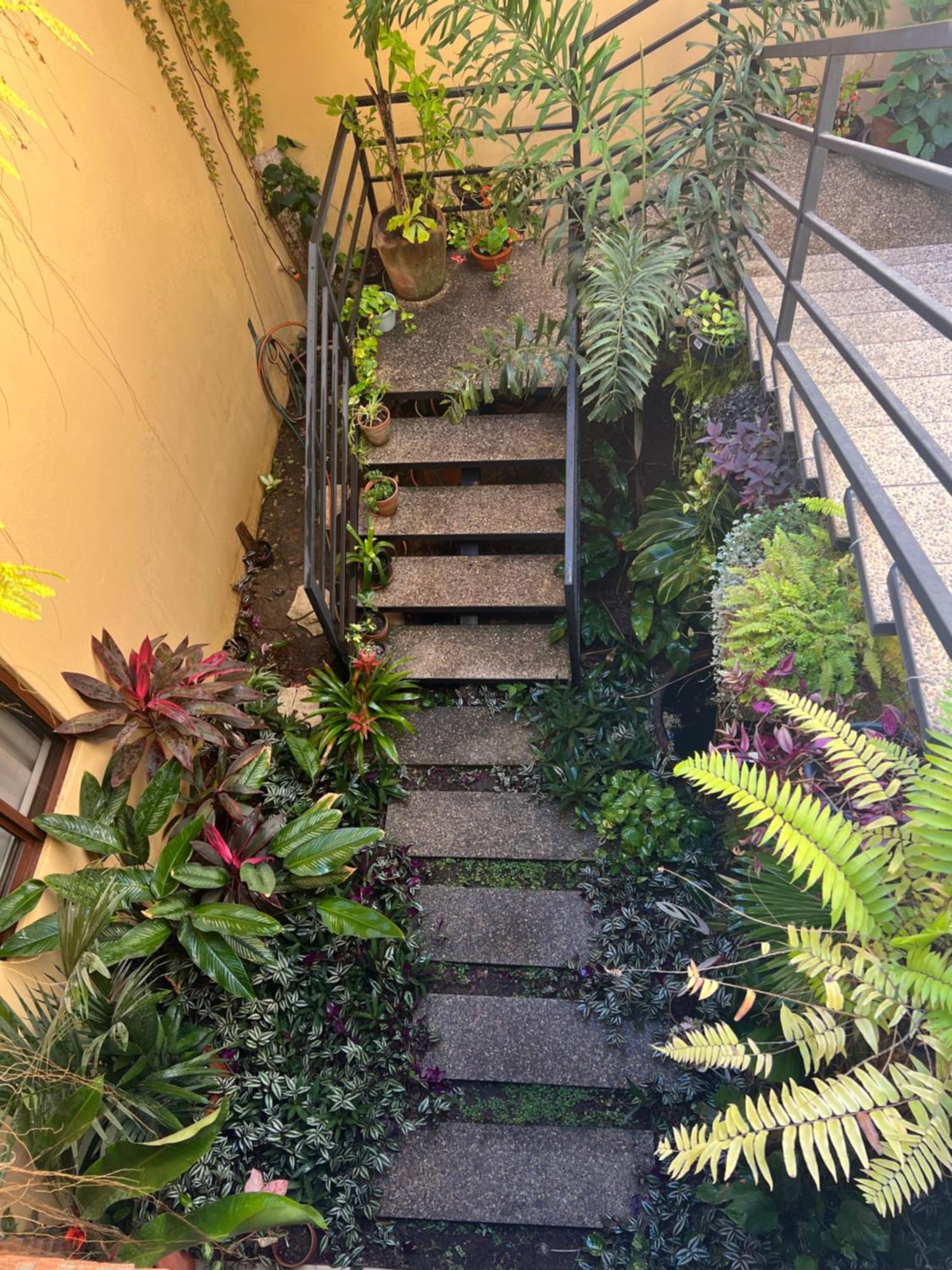 Casa Botanica Otel Lo de Marcos Dış mekan fotoğraf