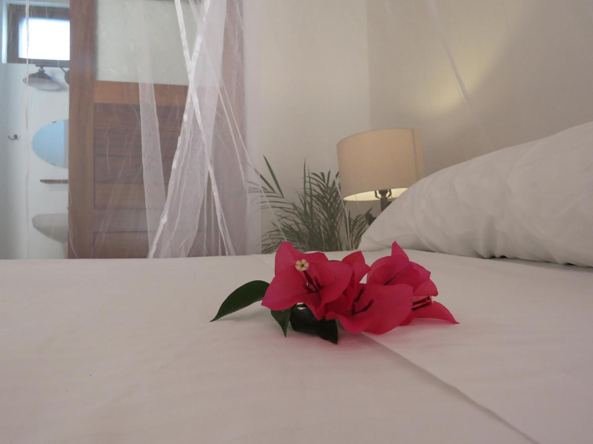 Casa Botanica Otel Lo de Marcos Dış mekan fotoğraf