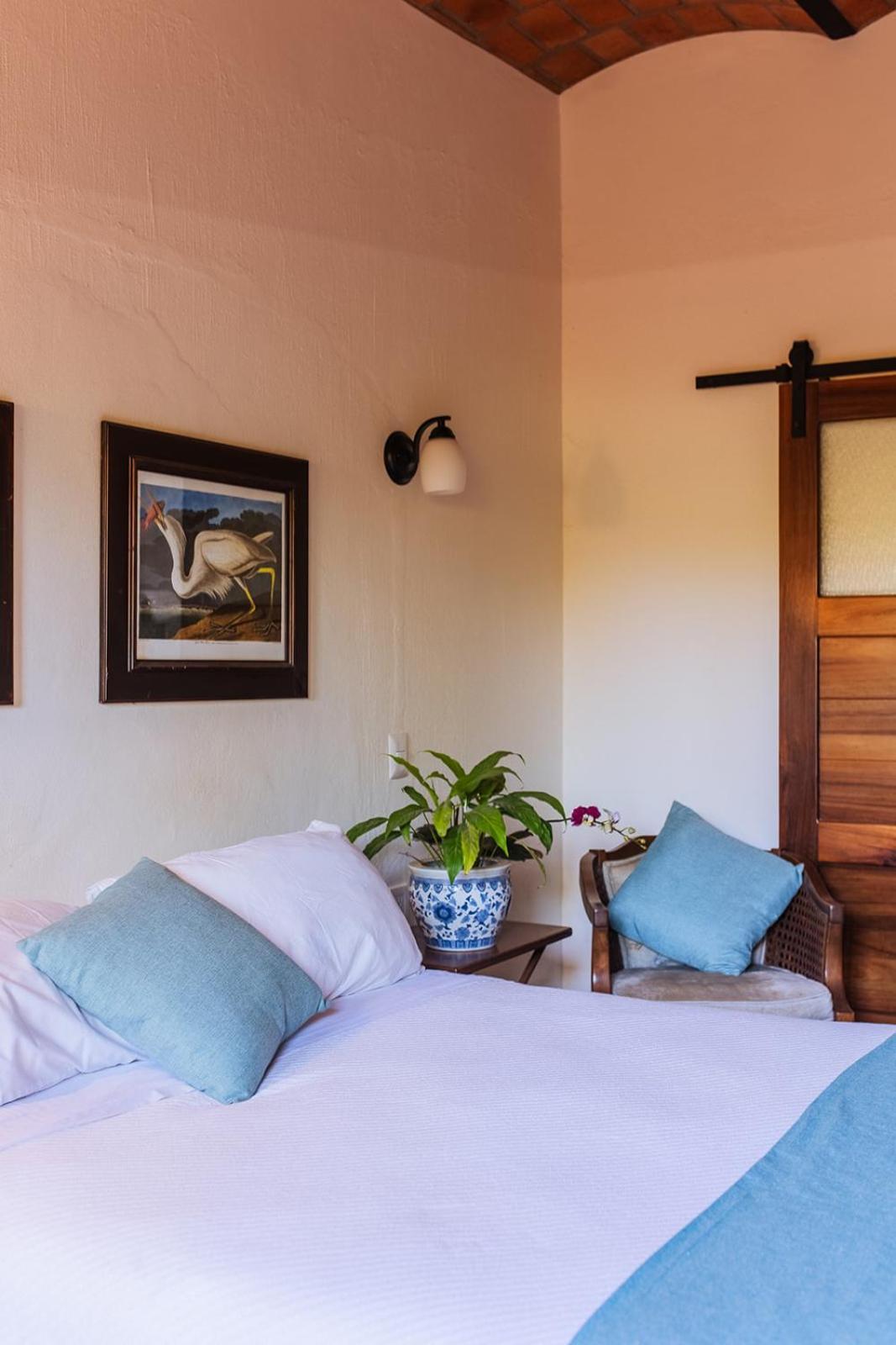 Casa Botanica Otel Lo de Marcos Dış mekan fotoğraf