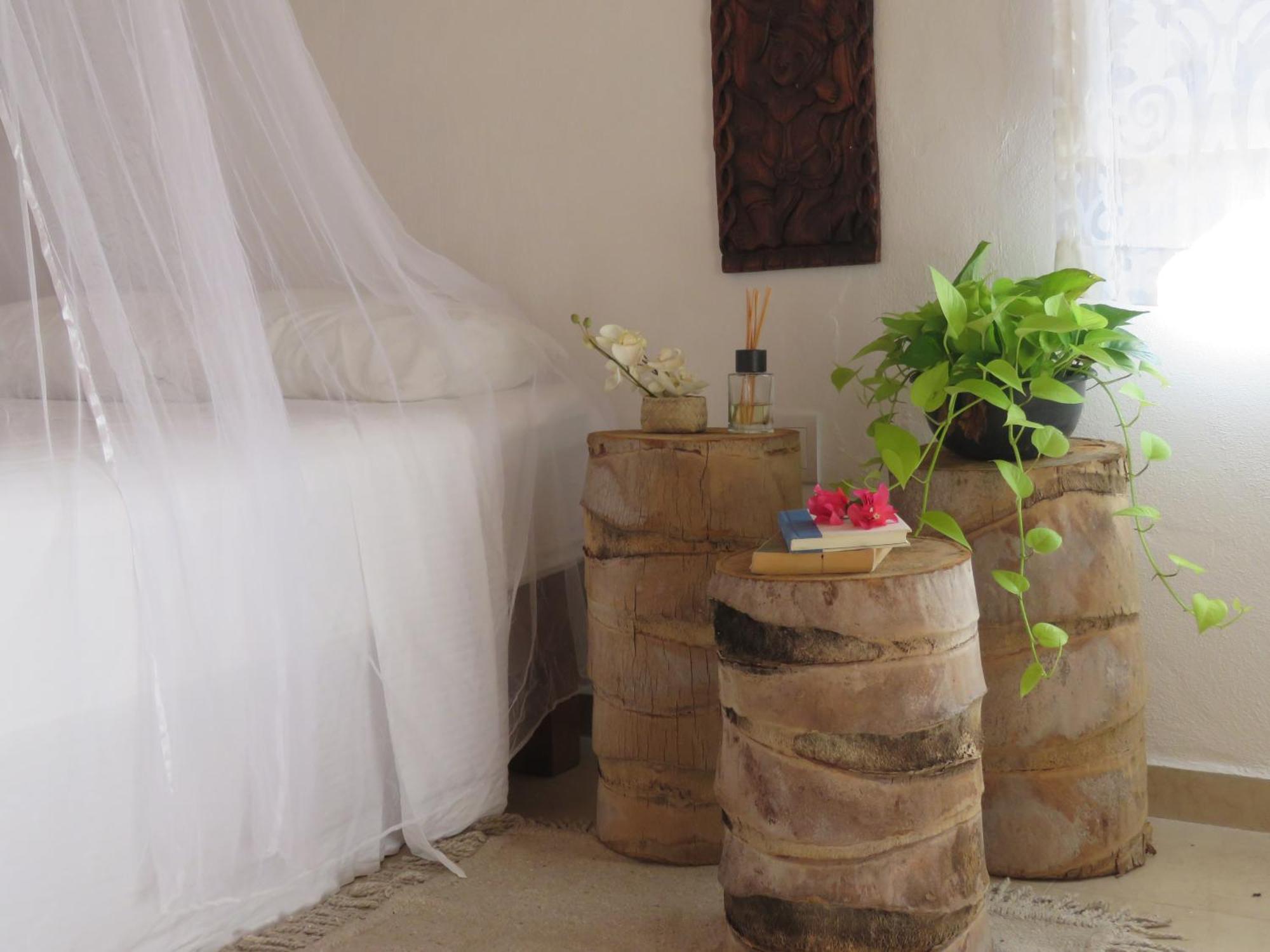 Casa Botanica Otel Lo de Marcos Dış mekan fotoğraf